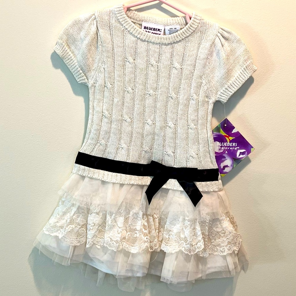 NWT Blueberi Boulevard size 24M Dress